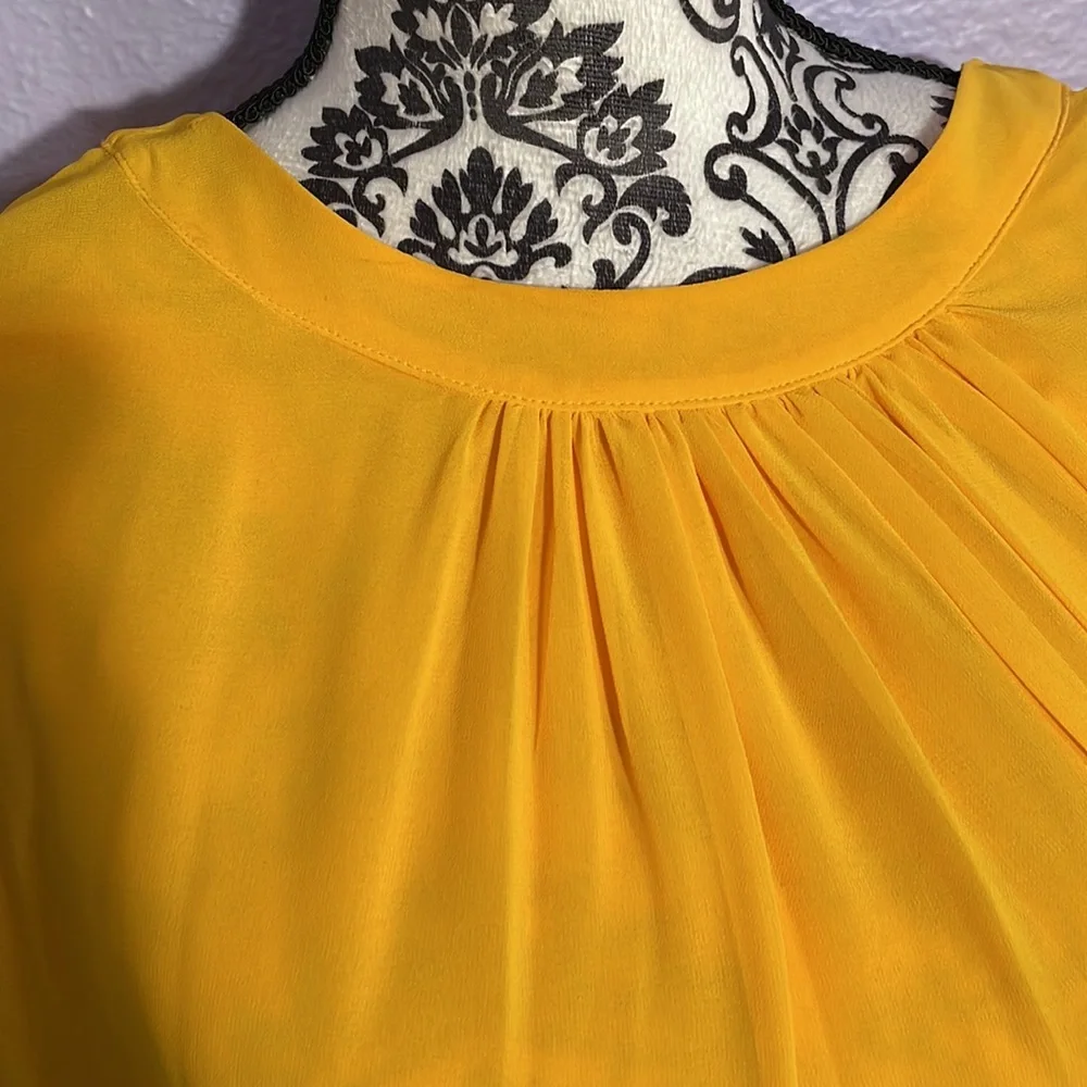 Eva Mendes for NY and Company sheer sleeve dress - Picture 2 of 7